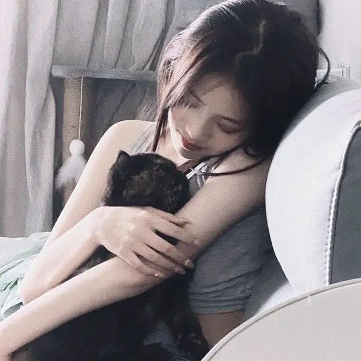 金牌律师之生死劫